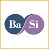 Basi Del Successo Basi Del Successo