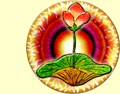 Massaggi: hawaiano, lomi lomi, sea malay, ayurvedico, stone massage, mukhashiroabhyangam. Bodywork: aquawellness, reiki. Inoltre: meditazione, chakra sound, kundalini, nataraj, nadabrahma, hearth chakra, costellazioni familiari. Altre tecniche: Ikebana.